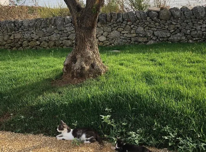 Villino Odaldo * Mottola