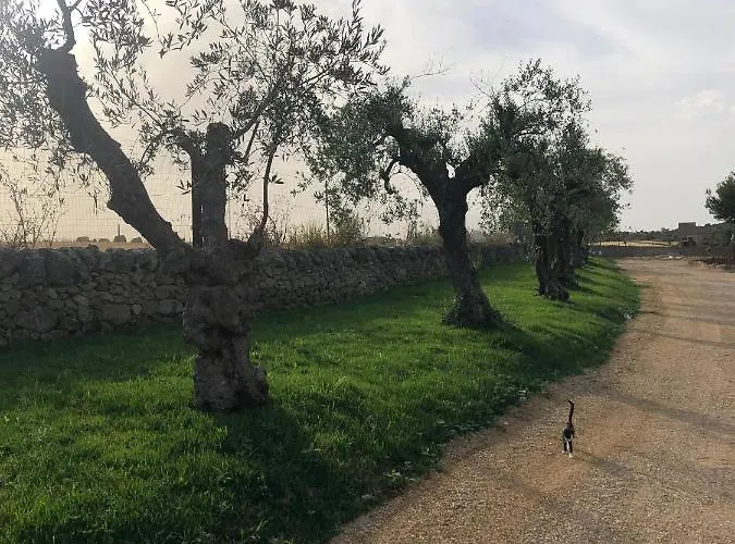 Farma Villino Odaldo