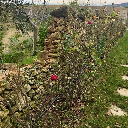Farm stay Villino Odaldo *