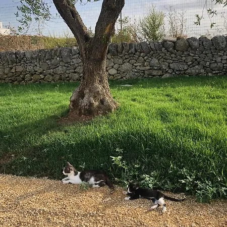 Villino Odaldo * Mottola