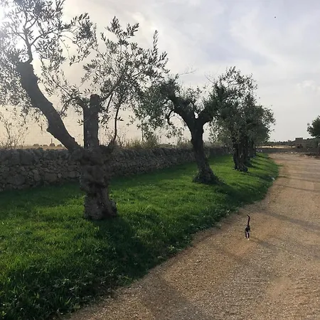Farm stay Villino Odaldo