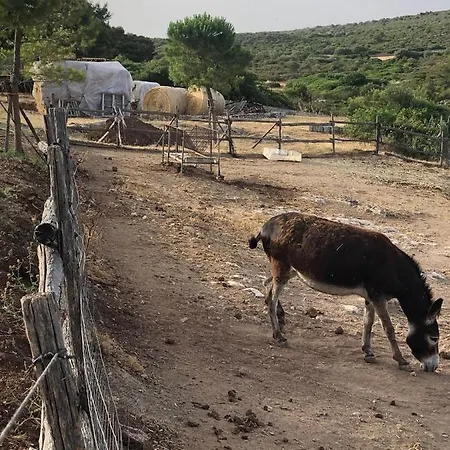 Villino Odaldo Farm stay Mottola