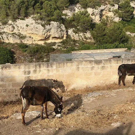Villino Odaldo Mottola