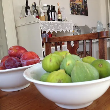 Farm stay Villino Odaldo