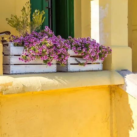 Farm stay Villino Odaldo Mottola