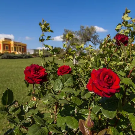 Farm stay Villino Odaldo *